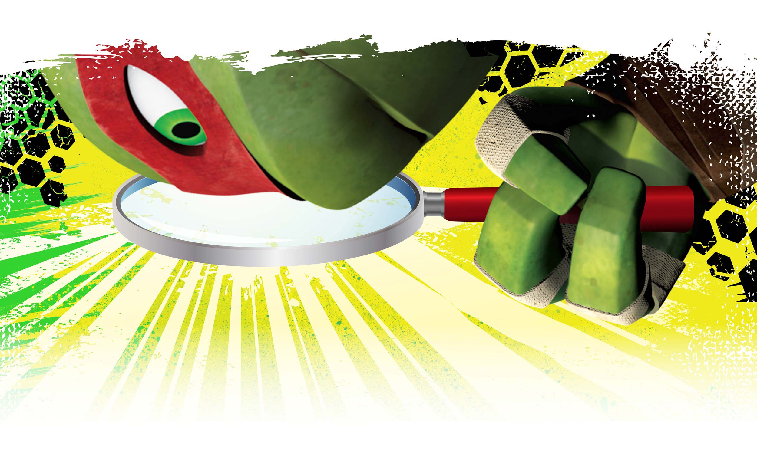 TMNT package design for Playmates Toys by McHale Design